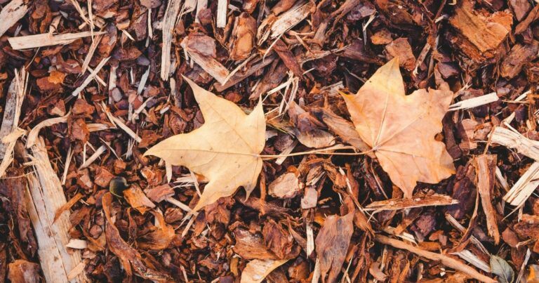 The Best Electric Leaf Mulchers for Composting